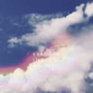 Meet your Posher, Frankie